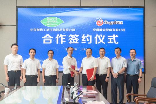 Angel Yeast hợp tác cùng PhaBuilder xây dựng nhà máy PHA tại Trung Quốc