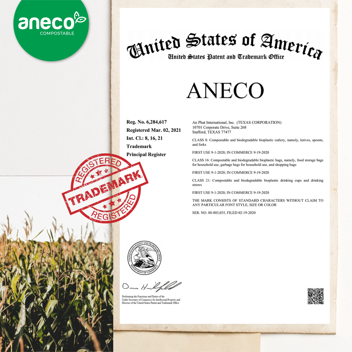 AnEco successfully applied for trademark in the United States