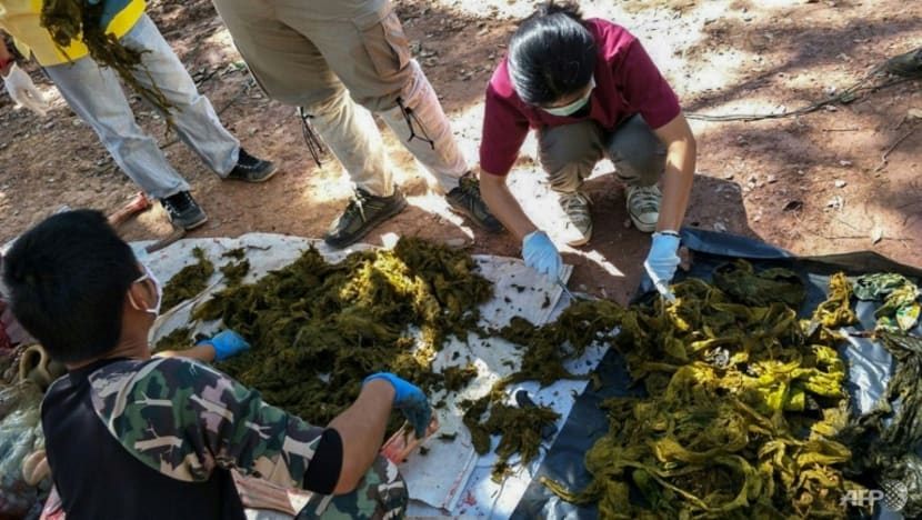 Thái Lan cấm nhựa sử dụng một lần trong các vườn quốc gia