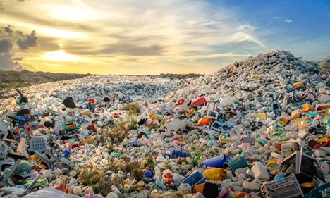 Bacteria turn plastic waste into pain relievers