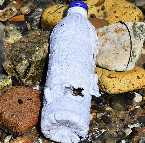 Chai nhựa làm từ hạt nhựa có nguyên liệu phân hủy sinh học kết hợp với nhựa PP, chất xúc tác thì sẽ không thể phân huỷ hoàn toàn