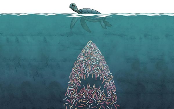 Ống hút nhựa là nguyên nhân giết chết nhiều sinh vật biển